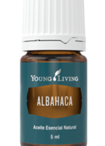 Albahaca